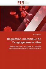 Regulation mecanique de l''angiogenese in vitro
