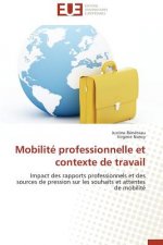 Mobilit  Professionnelle Et Contexte de Travail