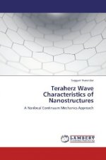 Teraherz Wave Characteristics of Nanostructures