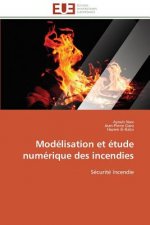 Mod lisation Et  tude Num rique Des Incendies