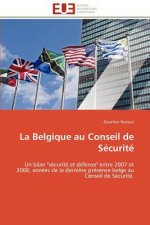 belgique au conseil de securite