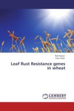 Leaf Rust Resistance genes in wheat