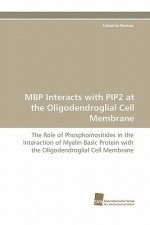 MBP Interacts with Pip2 at the Oligodendroglial Cell Membrane