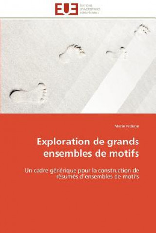 Exploration de Grands Ensembles de Motifs