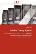 Parallel Query System