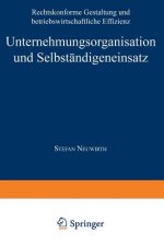 Unternehmungsorganisation Und Selbst ndigeneinsatz