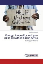 Energy, Inequality and pro-poor growth in South Africa