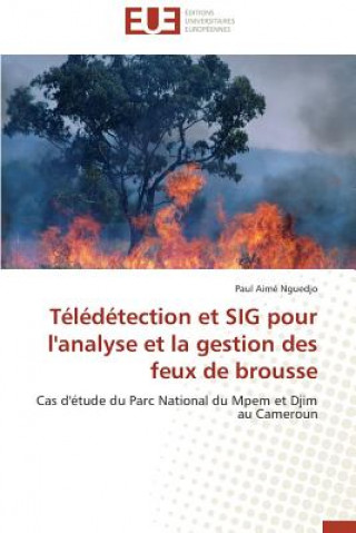 T l d tection Et Sig Pour l'Analyse Et La Gestion Des Feux de Brousse