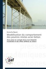 Modelisation Du Comportement Des Poutres Mixtes Acier-Beton
