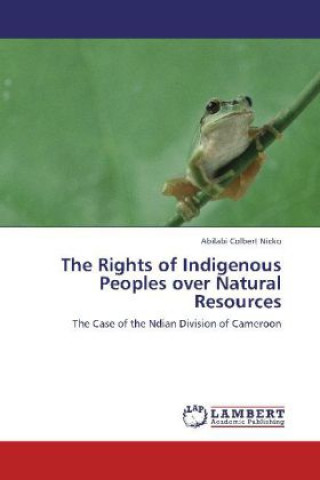The Rights of Indigenous Peoples over Natural Resources