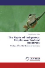 The Rights of Indigenous Peoples over Natural Resources