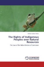 The Rights of Indigenous Peoples over Natural Resources