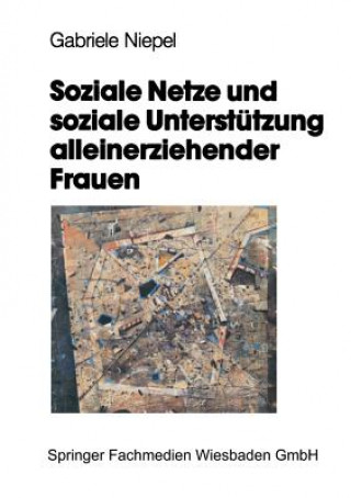 Soziale Netze Und Soziale Unterstutzung Alleinerziehender Frauen