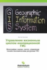 Upravlenie zhiznennym tsiklom innovatsionnoy GIS