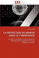 Protection Du Mineur Dans Le Cyberespace