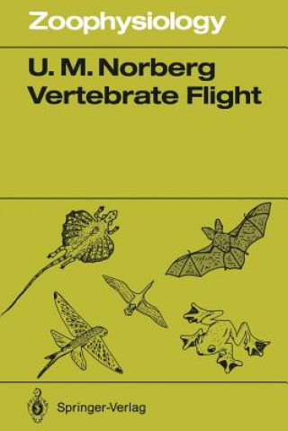Vertebrate Flight