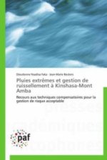 Pluies extrêmes et gestion de ruissellement à Kinshasa-Mont Amba