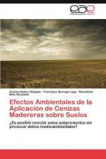 Efectos Ambientales de la Aplicacion de Cenizas Madereras sobre Suelos