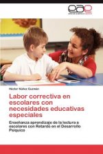 Labor Correctiva En Escolares Con Necesidades Educativas Especiales