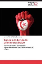 Tunez a la Luz de La Primavera Arabe
