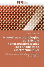 Nouvelles Morphologies Du Silicium Nanostructure Issues de L''Anodisation Electrochimique