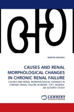 CAUSES AND RENAL MORPHOLOGICAL CHANGES IN CHRONIC RENAL FAILURE