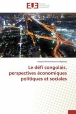 Le défi congolais, perspectives économiques politiques et sociales