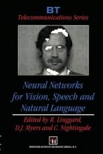 Neural Networks for Vision, Speech and Natural Language