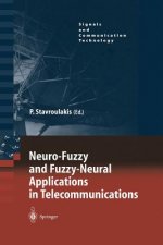 Neuro-Fuzzy and Fuzzy-Neural Applications in Telecommunications