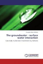 The groundwater - surface water interaction
