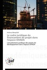 Le cadre juridique du financement de projet dans l'espace ohada