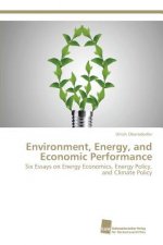 Environment, Energy, and Economic Performance