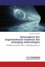 Antecedents for organizational readiness for emerging technologies