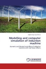 Modelling and computer simulation of induction machine