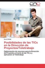 Posibilidades de las TICs en la Direccion de Proyectos/Teletrabajo