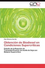 Obtencion de Biodiesel en Condiciones Supercriticas