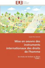 Mise En Oeuvre Des Instruments Internationaux Des Droits de l'Homme