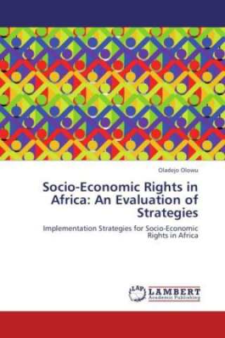 Socio-Economic Rights in Africa: An Evaluation of Strategies