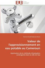 Valeur de l'Approvisionnement En Eau Potable Au Cameroun
