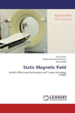 Static Magnetic Field