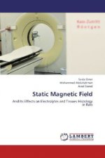 Static Magnetic Field