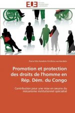Promotion Et Protection Des Droits de l'Homme En R p. D m. Du Congo