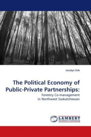 The Political Economy of Public-Private Partnerships: