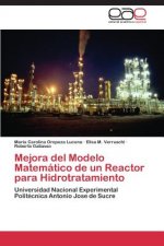 Mejora del Modelo Matematico de un Reactor para Hidrotratamiento