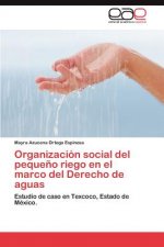 Organizacion Social del Pequeno Riego En El Marco del Derecho de Aguas
