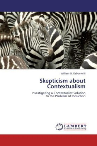 Skepticism about Contextualism
