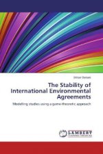 The Stability of International Environmental Agreements