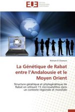 genetique de rabat entre l andalousie et le moyen orient
