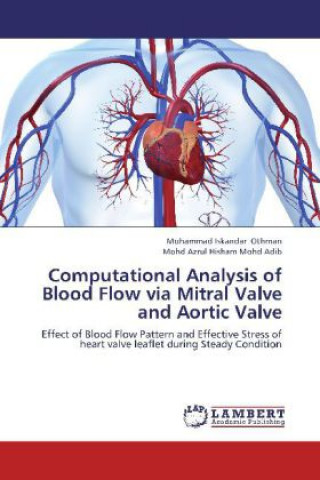 Computational Analysis of Blood Flow via Mitral Valve and Aortic Valve
