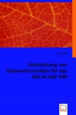 Entwicklung von Datenschutzrollen für das AIS im SAP ERP